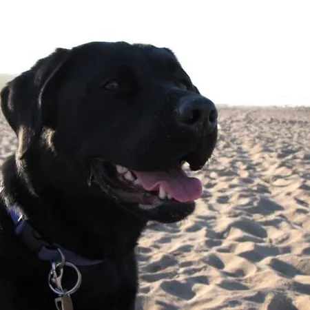 Wanger Neukirchen am Großvenediger